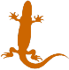 L wie Lizard